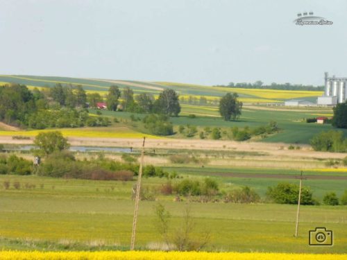 P1100668