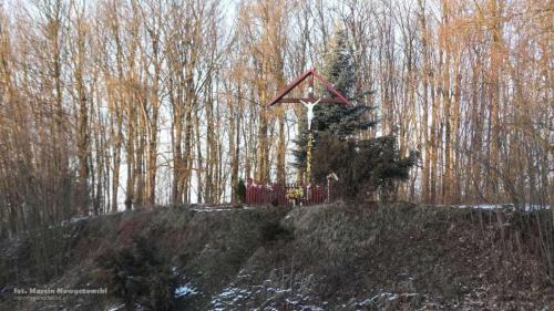 fot marcin nowaczewski 10 20170102 1391725360
