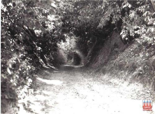 grabowiec-dawniej-155