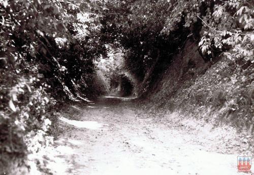 grabowiec-dawniej-56
