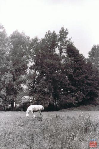 grabowiec-dawniej-88