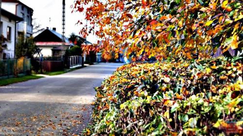 fot dk 20 20151030 1552440225