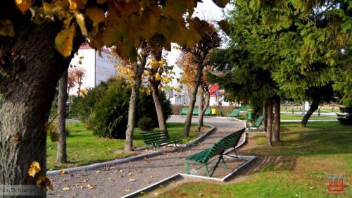 fot dk 27 20151030 1161538599