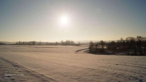 20180219 -fot dk 11 20180219 2097694674