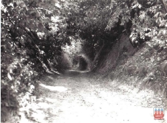 archiwum GOK, archiwum UG, zbiory prywatne_96