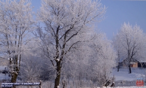 fot. Beata Smoła_3