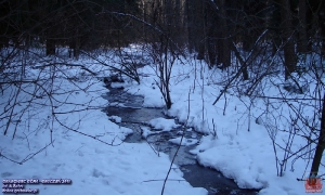 2010.12.20 Zima - Grabowiec Góra
