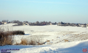 fot. Adam Skóra_15