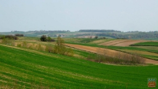 2011.04.25 Wiosna 2011