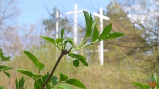 2011.04.25 Wiosna 2011