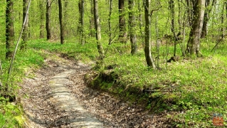 2011.04.25 Wiosna 2011
