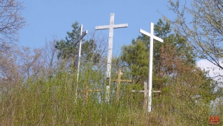 2011.04.25 Wiosna 2011