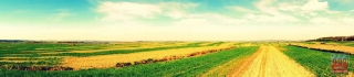 2012.04.29 Wiosna (Grabowiec Góra)