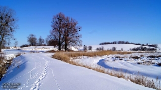 fot. DK_40