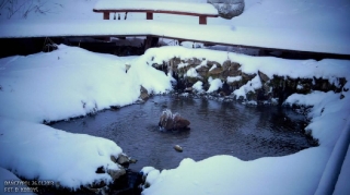 fot. DK_61