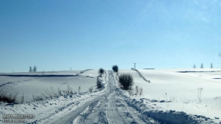 fot. DK_65