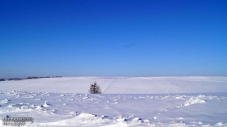 fot. DK_82