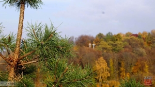fot. DK_10