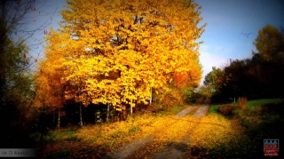 fot. DK_12
