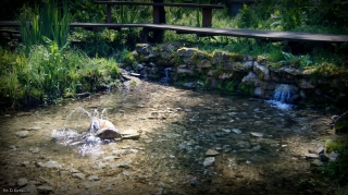 fot, DK_12