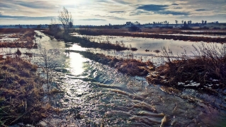 2016.01.28 - Szczelatyn, Żurawlów - fot. DK_1