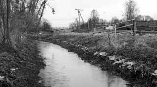 Grabowiec Góra, Bronisławka (2016.01.29)_1