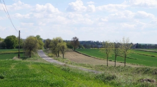 fot. DK_11