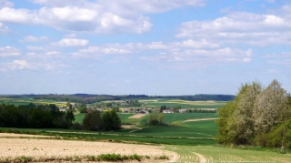 fot. DK_3