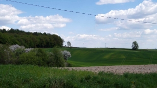 fot. DK_6