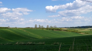 fot. DK_9