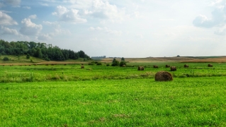 2016.07.28 - Rogów w obiektywie M. Nowaczewskiego 