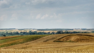 fot. M. Nowaczewski_6