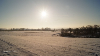 2018.02.19 -fot. DK_11