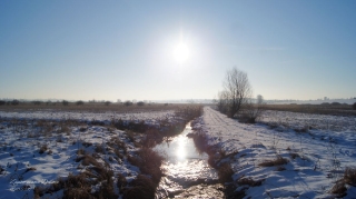 2018.02.19 -fot. DK_5