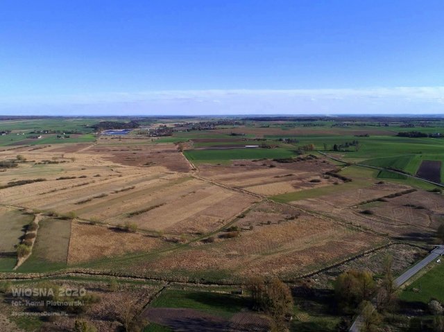 wiosna 2020_5