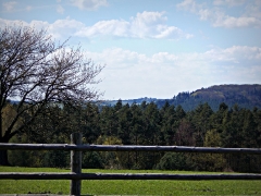 fot. DK_17