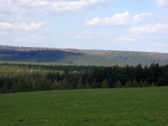 fot. DK_19