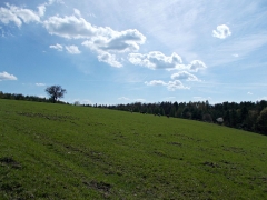 fot. DK_20