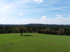 fot. DK_2