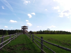 fot. DK_3