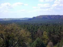 fot. DK_9