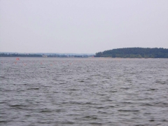 Nielisz, rok 2015. Fot. DK_14