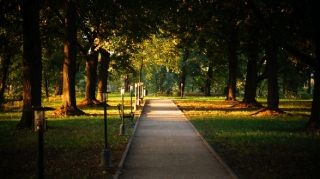 Zamość, 2014_11