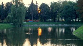 Zamość, 2014_16