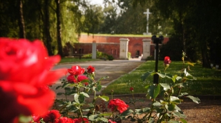 Zamość, 2014_22