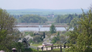 Zamość, 2014_35