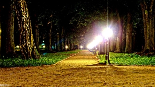 Zamość, 2015_1