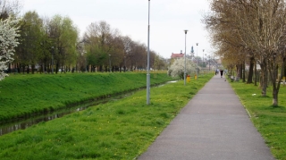 Zamość, 2015_35