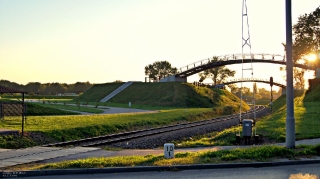 Zamość, 2015_36