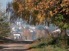 2005_2